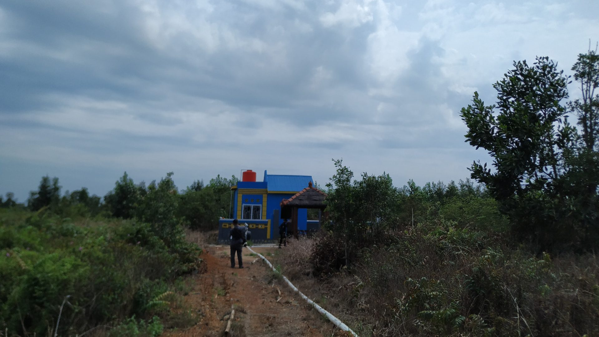 BR-01761570686211