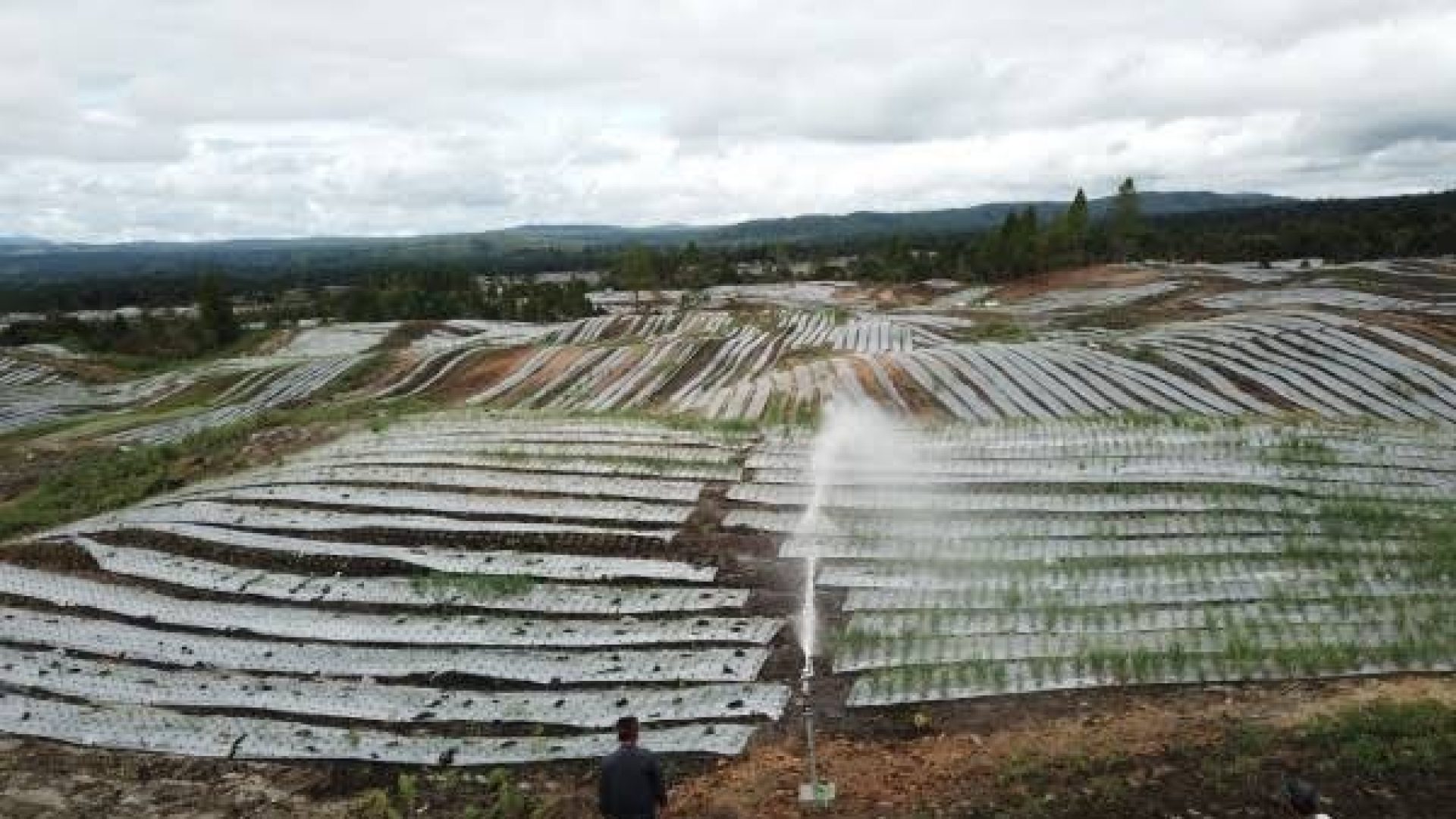 kementerian-pupr-kembangkan-potensi-sumber-air-bendungan-untuk-irigasi-sprinkler-di-food-estate-ntt-WhatsApp Image 2022-06-15 at 10.13.20 PM
